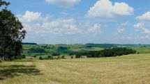 Landschaftsplan Altenbeken 